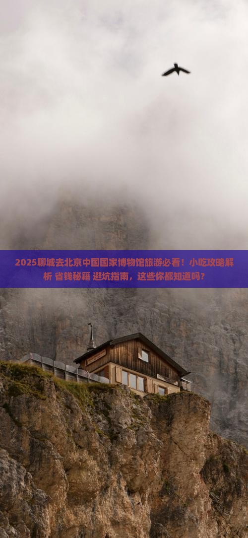 聊城去北京中国国家博物馆旅游小吃