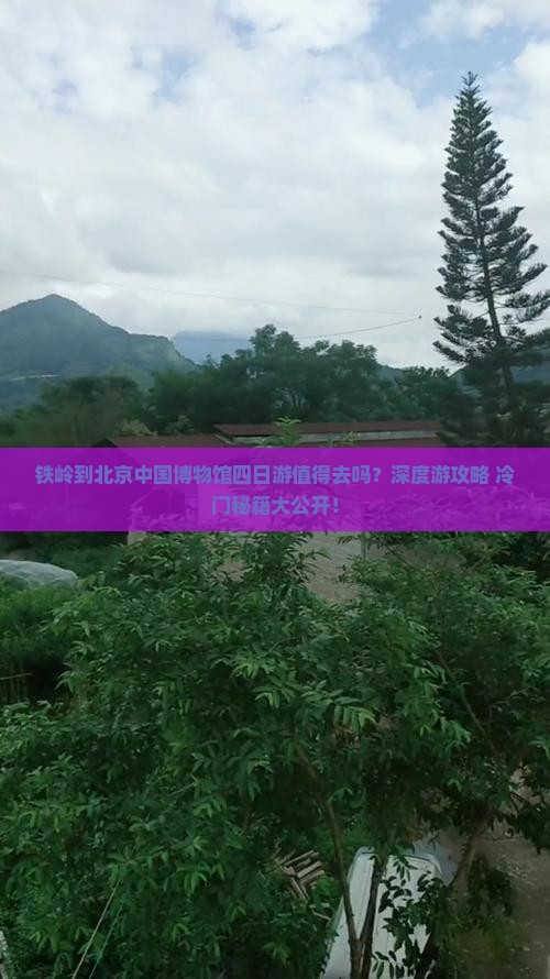 铁岭到北京中国国家博物馆四日游