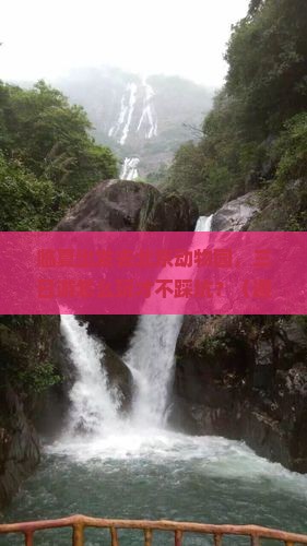 临夏去北京动物园三日游