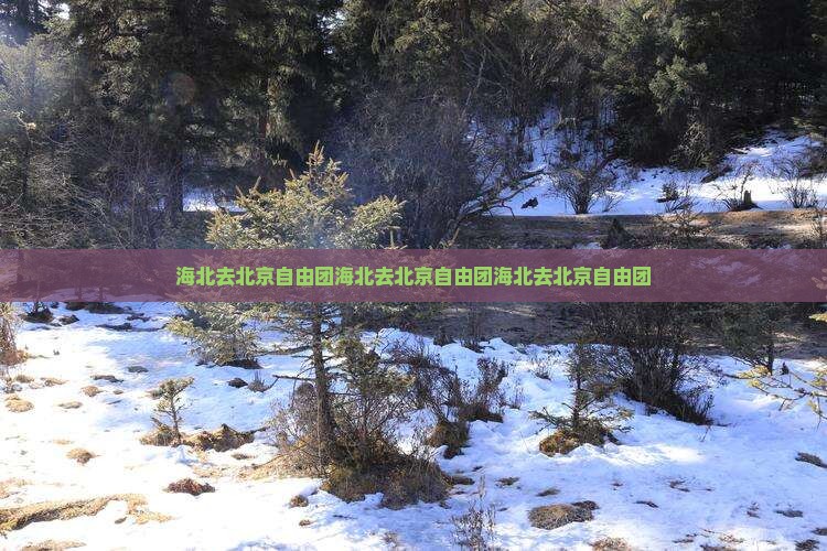 海北去北京自由团