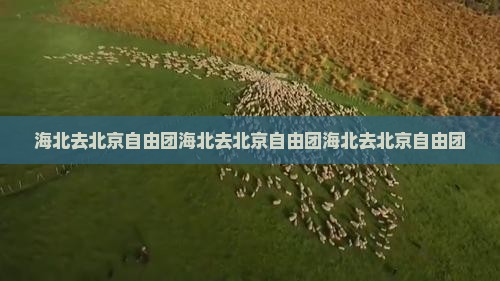 海北去北京自由团