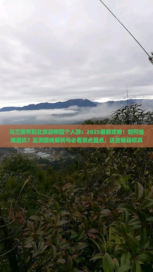 乌兰察布到北京动物园个人游