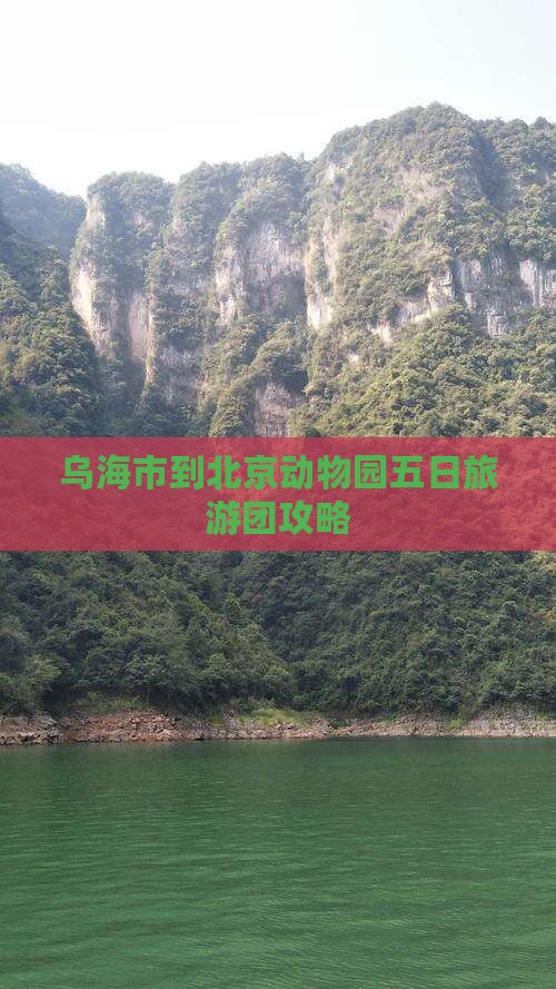 乌海市到北京动物园大型旅游团