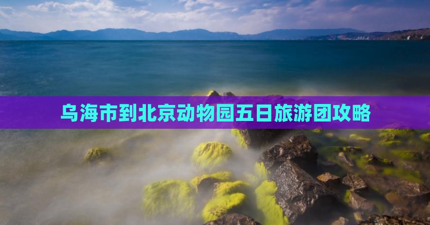 乌海市到北京动物园大型旅游团