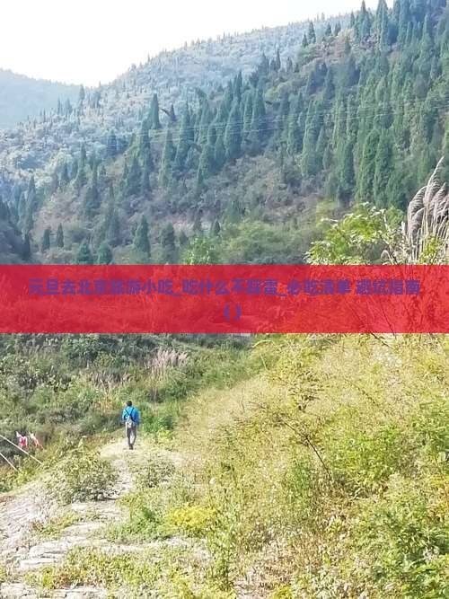 元旦去北京旅游小吃 元旦去北京旅游小吃