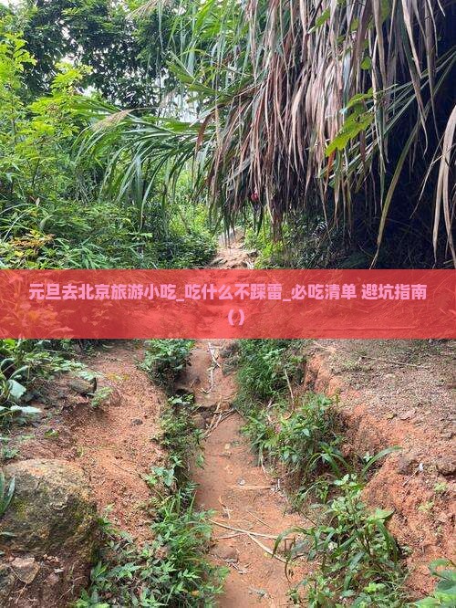 元旦去北京旅游小吃 元旦去北京旅游小吃