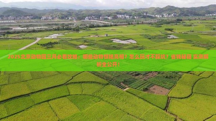 三月去北京动物园哪里玩