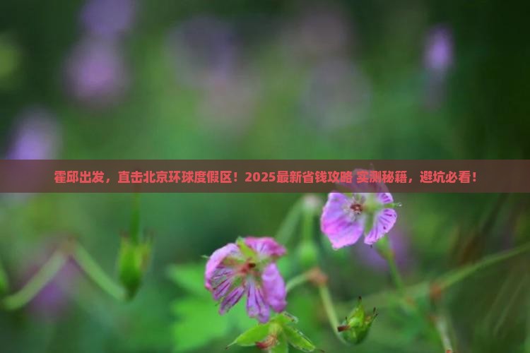 霍邱去北京环球度假区攻略