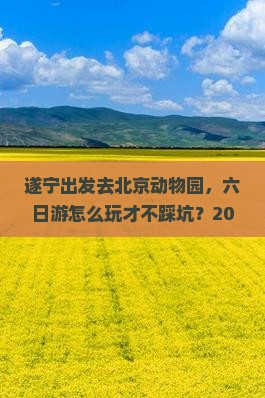 遂宁去北京动物园六日游