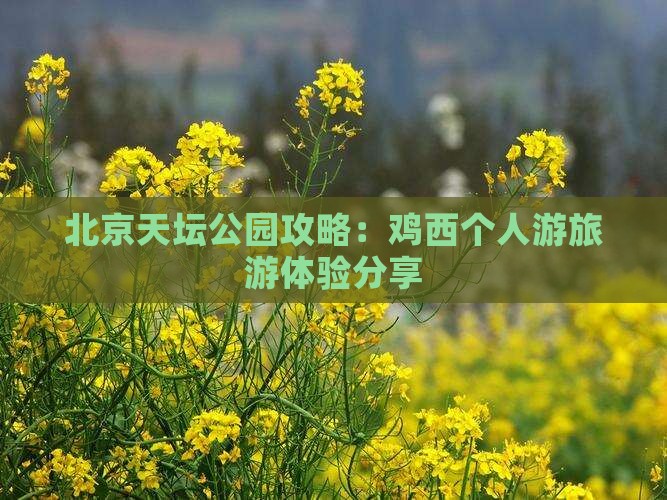 鸡西去北京天坛公园个人游