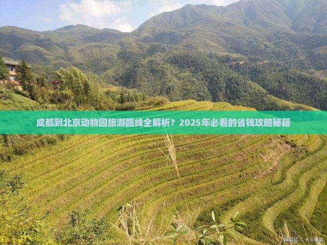 成都到北京动物园旅行社