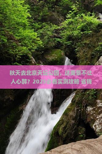 秋天去北京天坛公园景点
