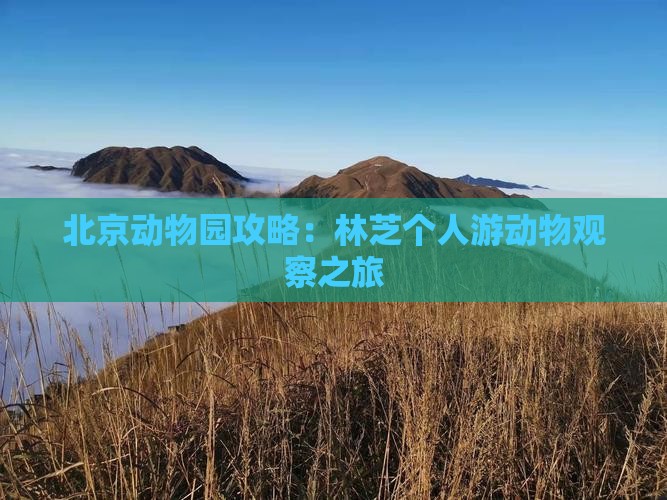 林芝到北京动物园个人游