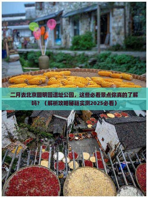 二月到北京圆明园遗址公园景点