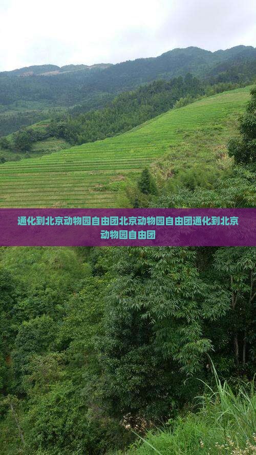 通化到北京动物园自由团