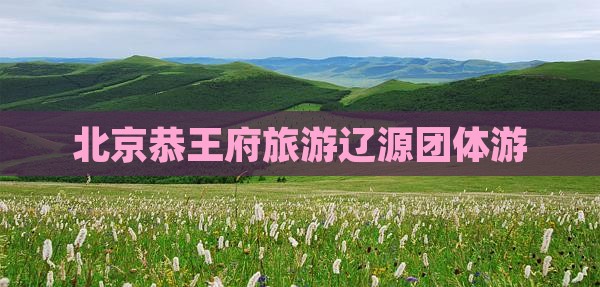 辽源去北京恭王府团体旅游