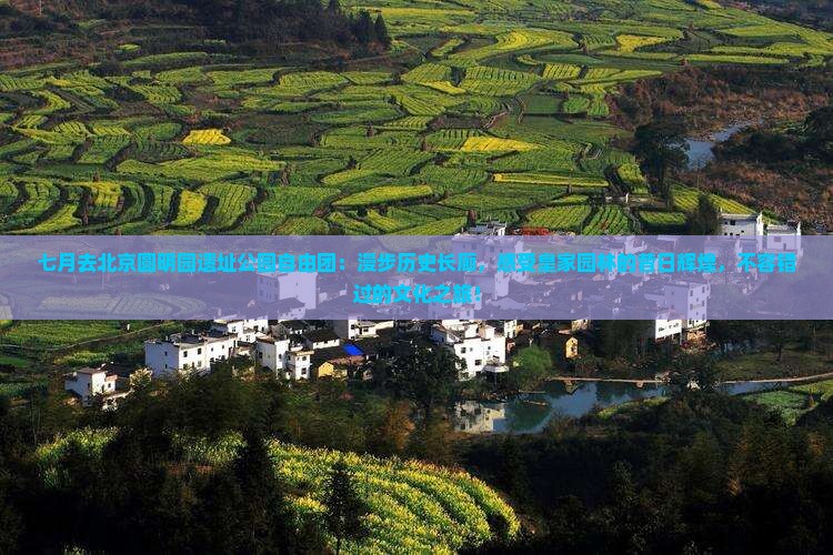 七月去北京圆明园遗址公园自由团