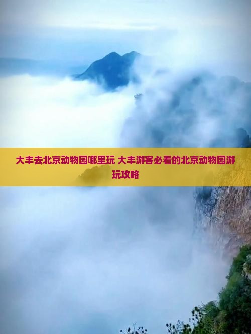 大丰去北京动物园哪里玩 大丰去北京动物园哪里玩
