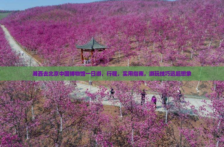 湘西去北京中国国家博物馆一日游