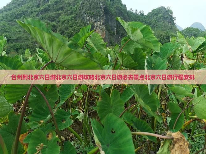台州到北京六日游