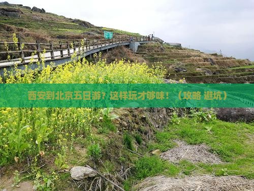 西安到北京五日游