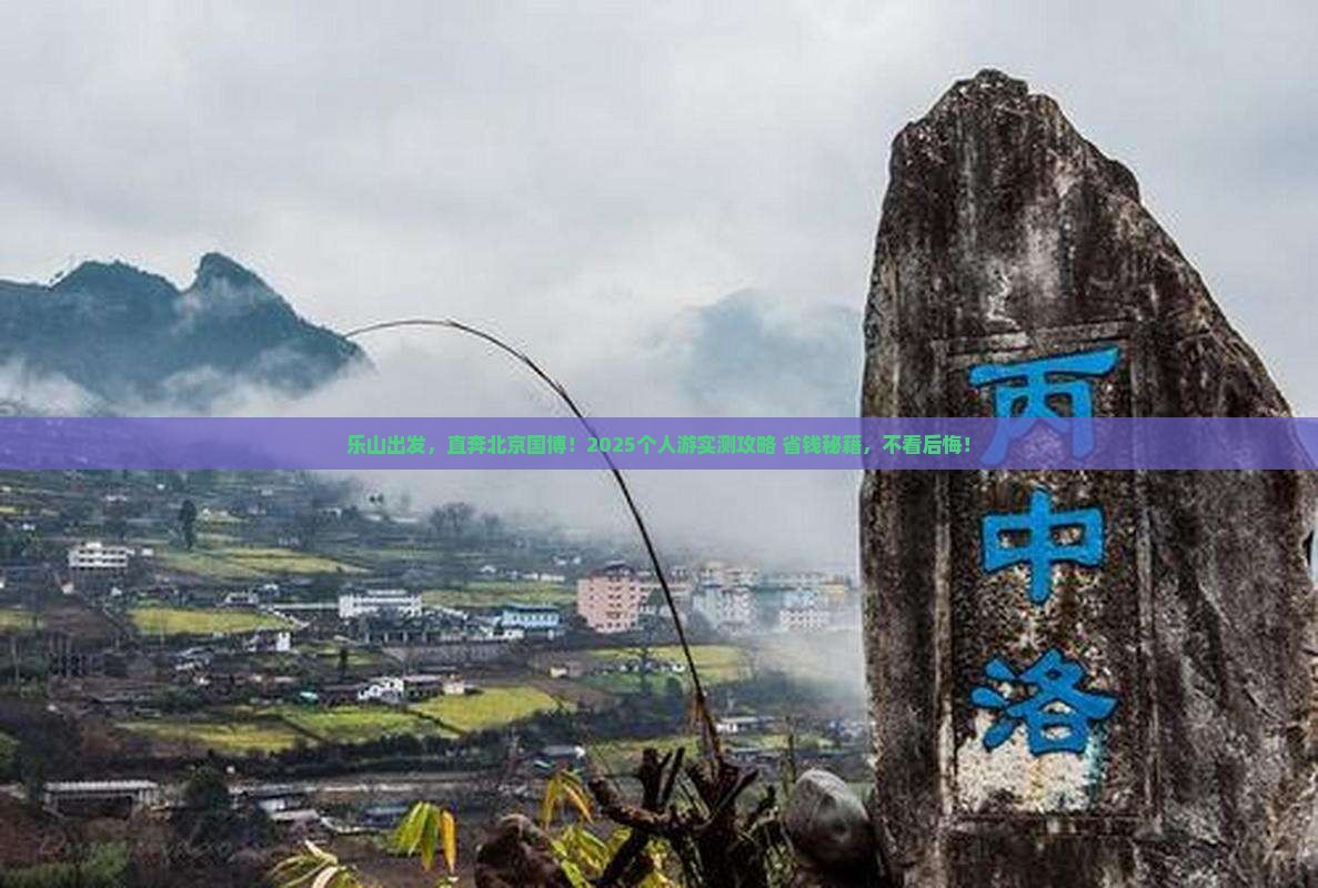 乐山去北京中国国家博物馆个人游