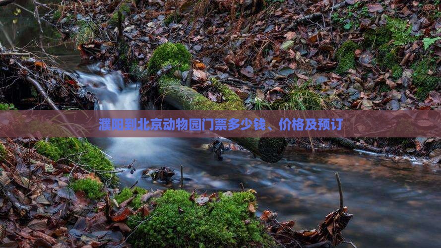 濮阳到北京动物园门票
