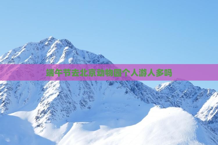 端午节去北京动物园个人游