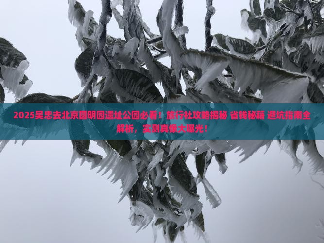 吴忠去北京圆明园遗址公园旅行社