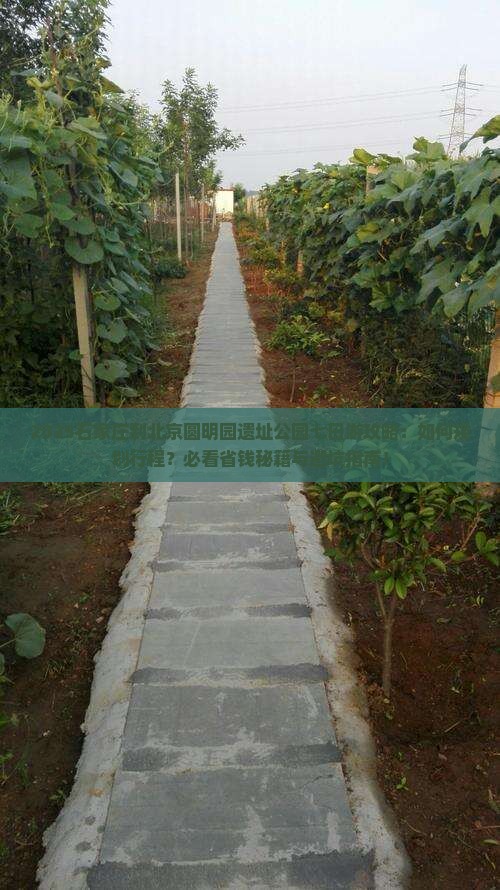 石家庄到北京圆明园遗址公园七日游