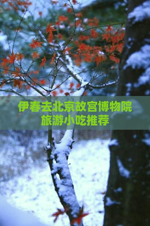 伊春去北京故宫博物院旅游小吃