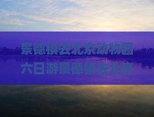 景德镇去北京动物园六日游