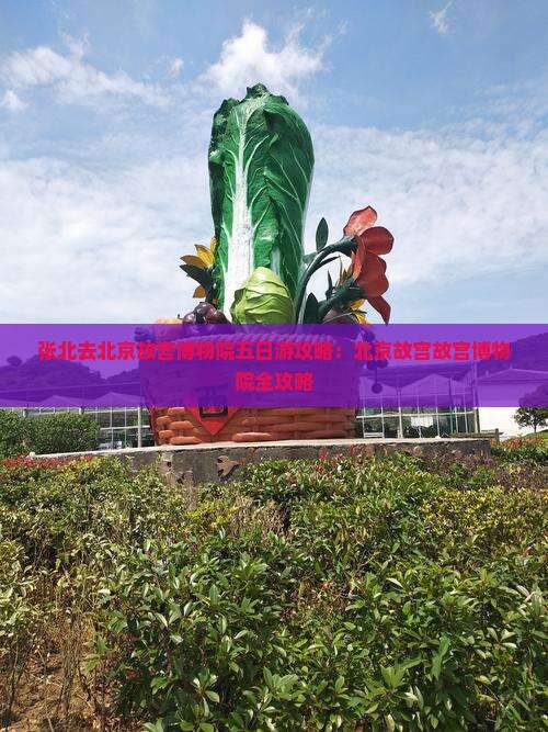 张北去北京故宫博物院五日游