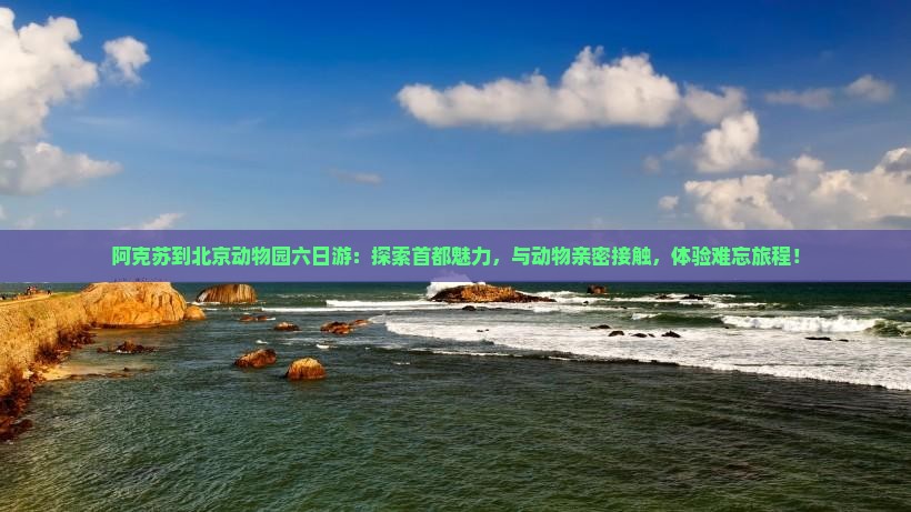 阿克苏到北京动物园六日游