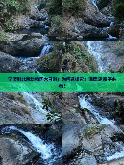 宁波到北京动物园六日游