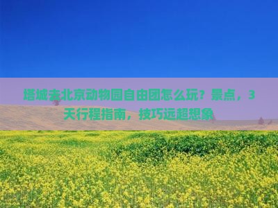 塔城去北京动物园自由团