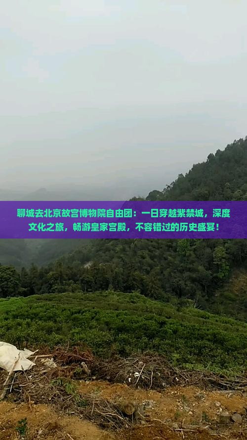 聊城去北京故宫博物院自由团