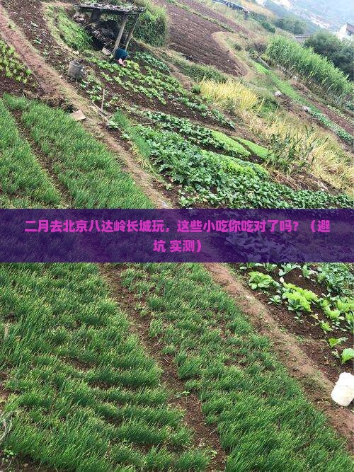 二月到北京八达岭长城旅游小吃