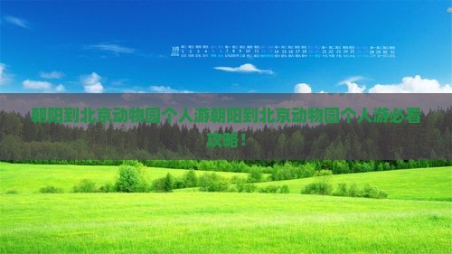 朝阳到北京动物园个人游
