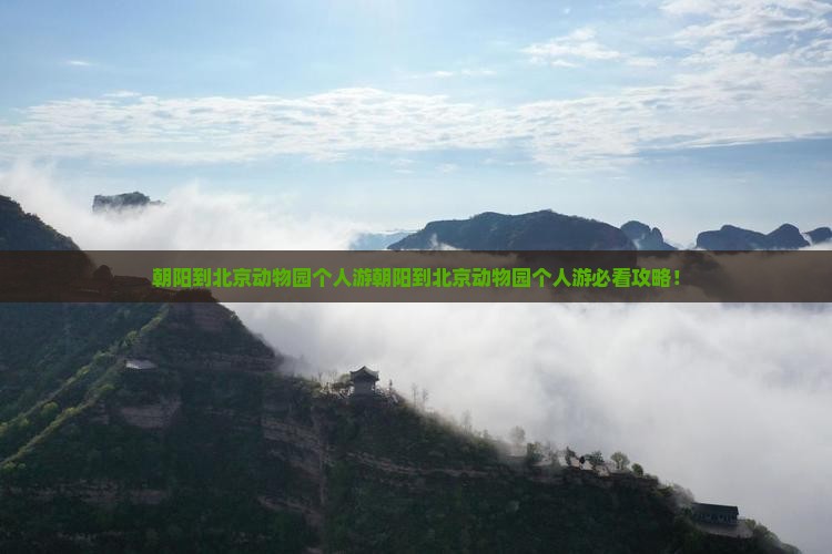朝阳到北京动物园个人游
