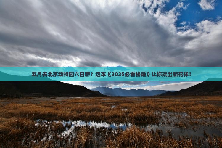 五月去北京动物园六日游