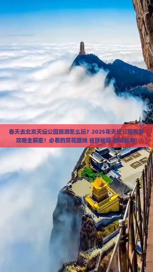 春天去北京天坛公园旅游
