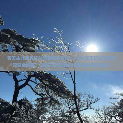 春天去北京天坛公园旅游