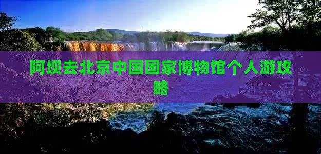 阿坝去北京中国国家博物馆个人游