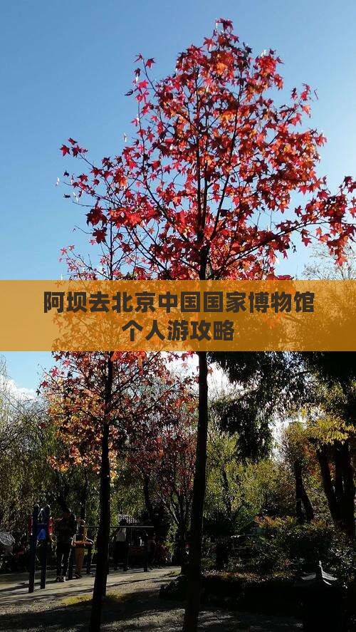 阿坝去北京中国国家博物馆个人游