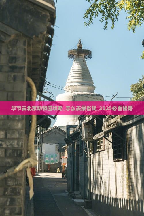 毕节去北京动物园攻略
