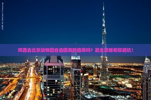 鸡西去北京动物园自由团