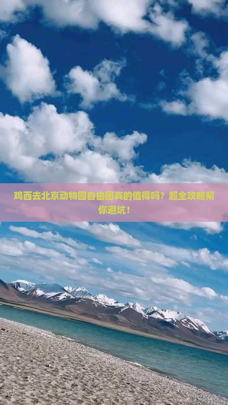 鸡西去北京动物园自由团