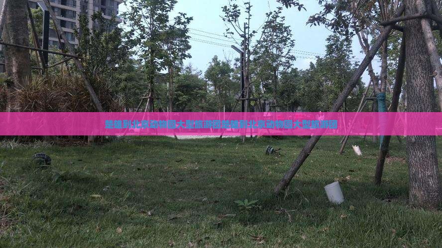 楚雄到北京动物园大型旅游团