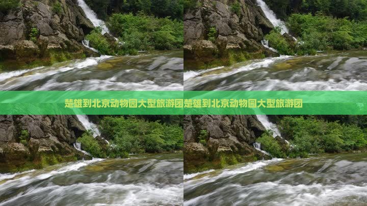 楚雄到北京动物园大型旅游团